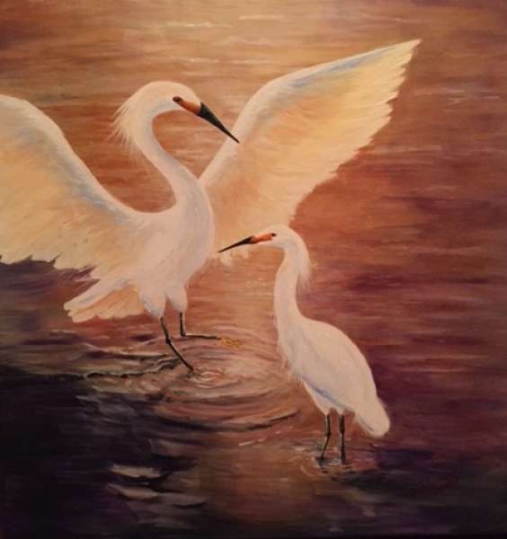 Great White Egrets